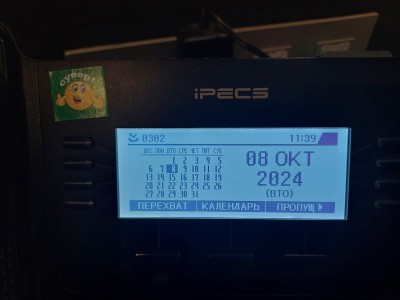 20241008_113354.jpg