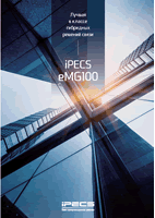       iPECS eMG100.(2019 .)