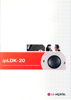 ipLDK-20.    .(2008 .)
