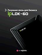 ipLDK-60.    .(2008 .)